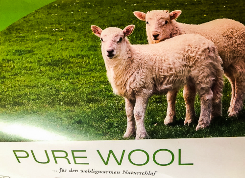 Hefel Pure Wool Schafwollkissen